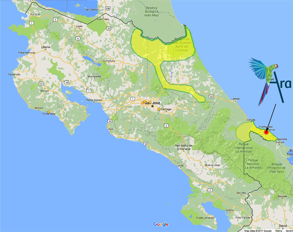 ara-current-range-great-green-macaw
