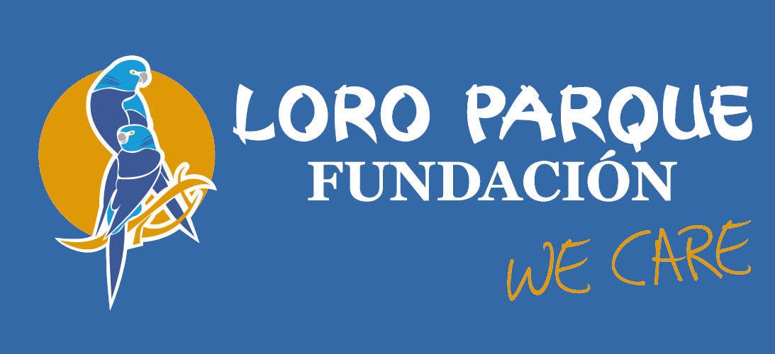 LPF_banner